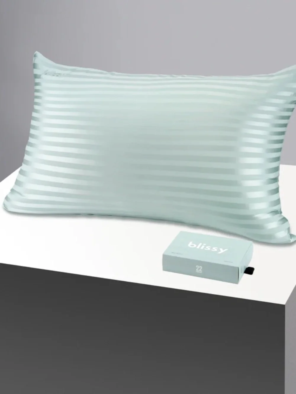 Blissy 100% Silk 22 Momme STANDARD Pillowcase Mint Striped New